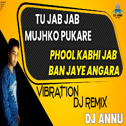 Tu Jab Jab Mujhko Pukare - Vibration DJ Mix - DJ Annu